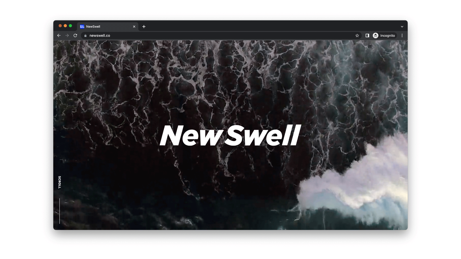 Website for NewSwell